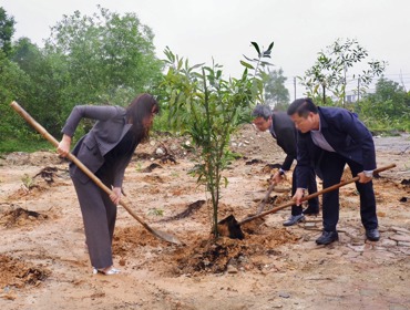 Đại học Huế ra quân trồng hàng nghìn cây xanh, góp phần cải thiện môi trường tại Khu đô thị Trường Bia